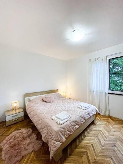 Apartman Dorja Fažana Esterno foto