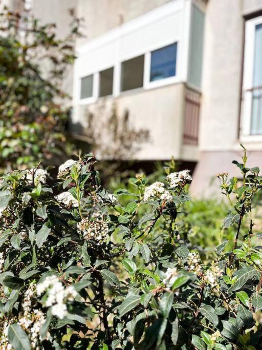 Apartman Dorja Fažana Esterno foto